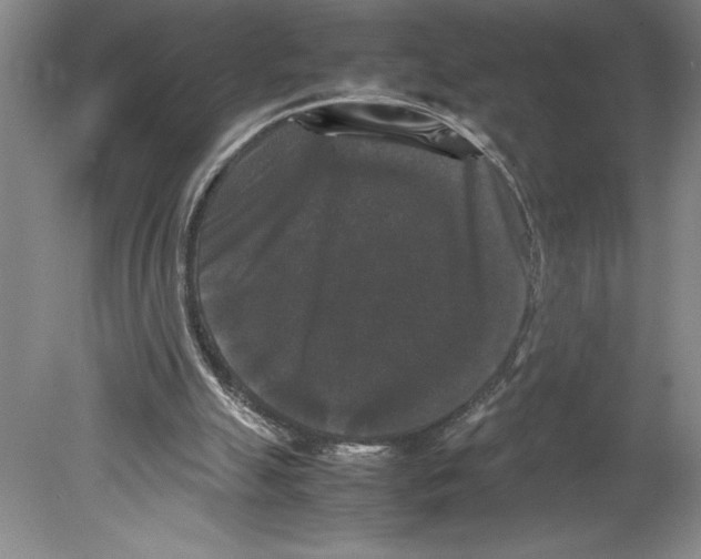 X0000078840055200612111606