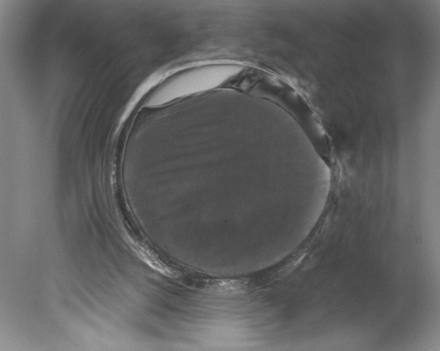 X0000078840056200612111606