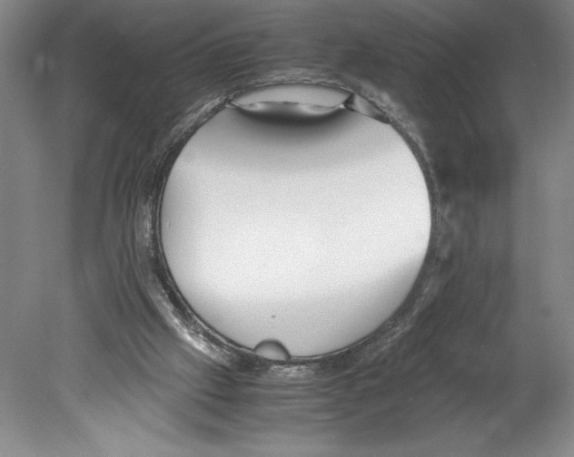 X0000078840057200612111606