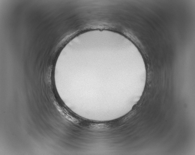 X0000078840058200612111606