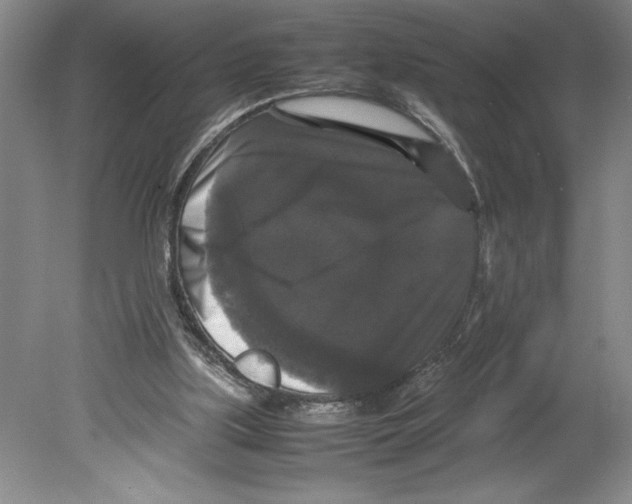 X0000078840059200612111606