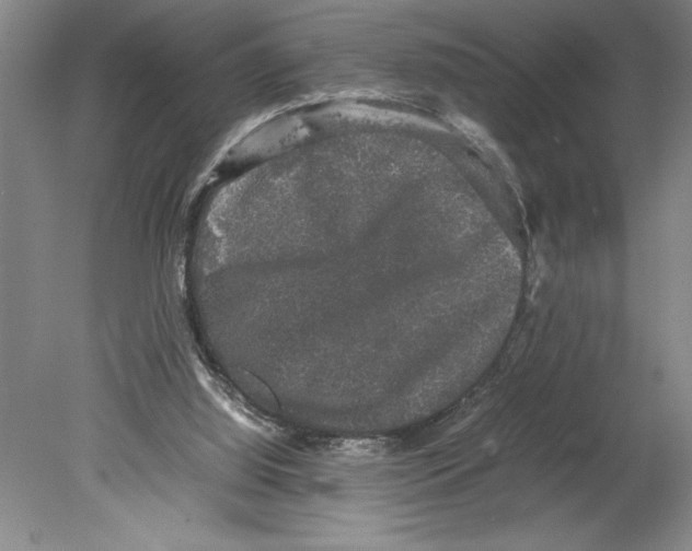 X0000078840060200612111606