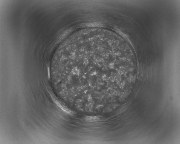 X0000078840061200612111606