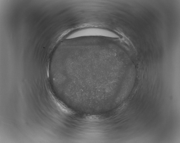 X0000078840062200612111606