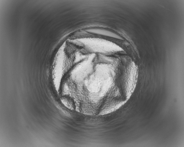 X0000078840063200612111606