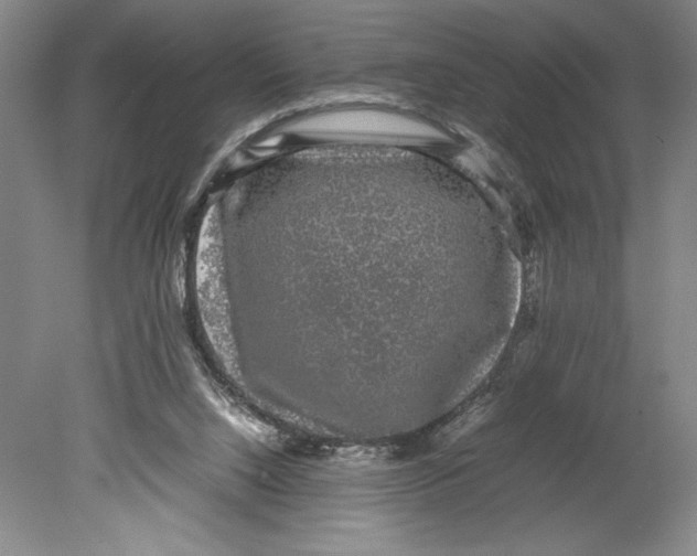 X0000078840064200612111606