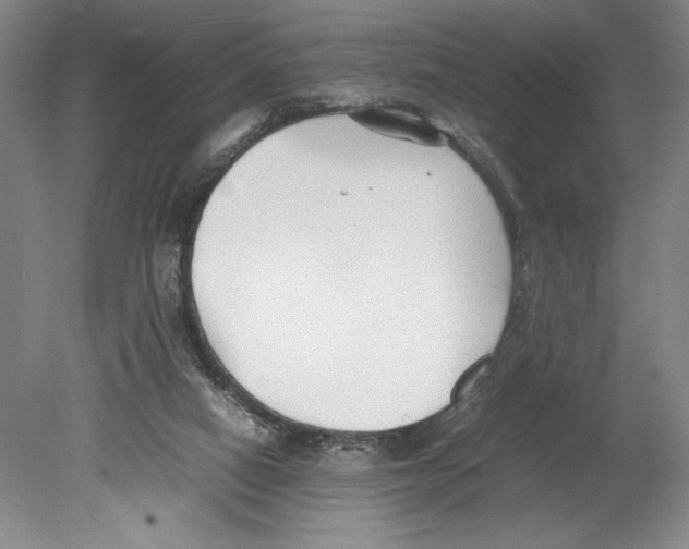 X0000078840066200612111606