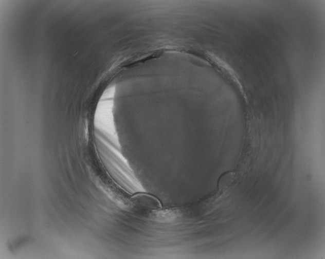 X0000078840067200612111606