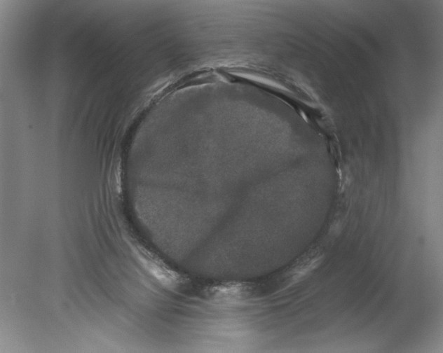 X0000078840068200612111606