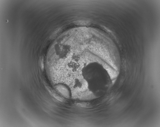 X0000078840069200612111606