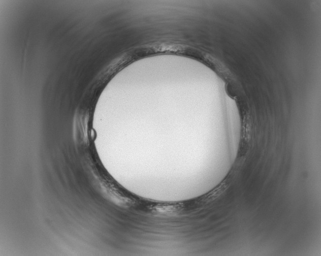 X0000078840070200612111606