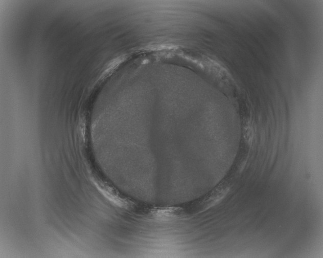 X0000078840072200612111606