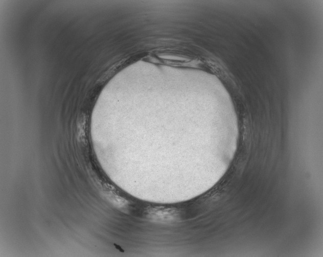 X0000078840073200612111606