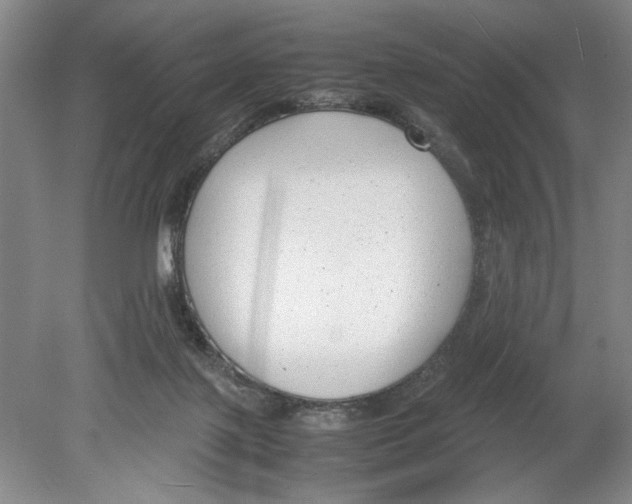 X0000078840075200612111606