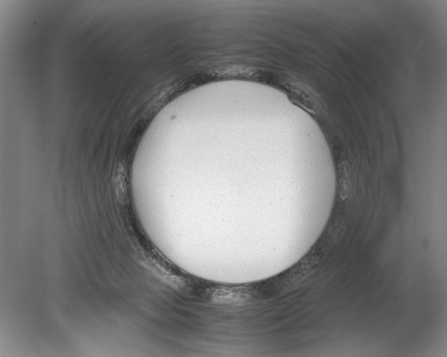 X0000078840077200612111606