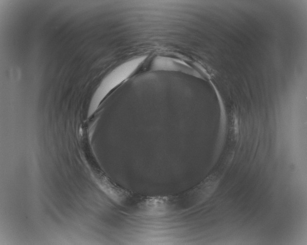 X0000078840080200612111606