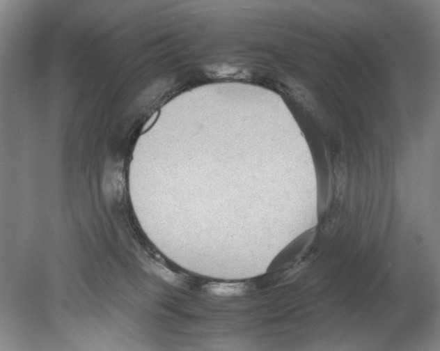 X0000078840085200612111606