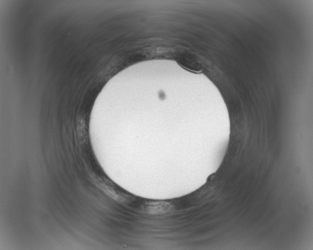 X0000078840087200612111606