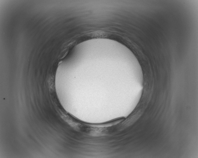 X0000078840096200612111607