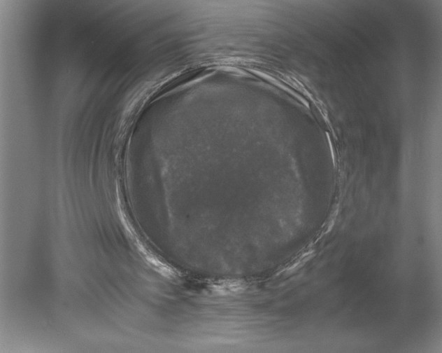 X0000078840097200612111606