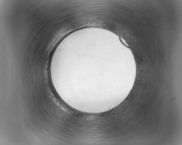 X0000078840098200612111606