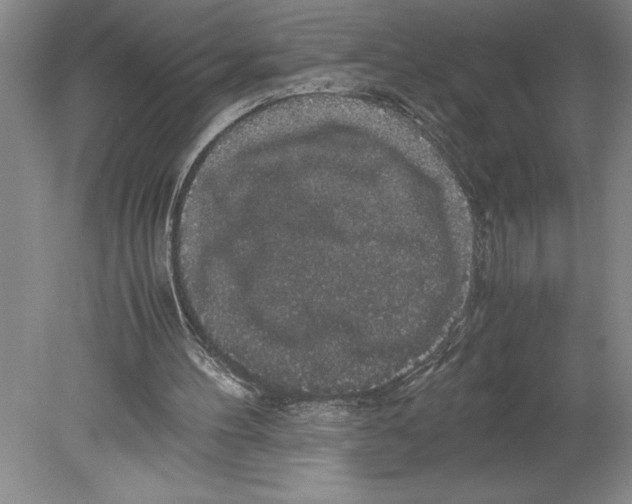 X0000078840100200612111606