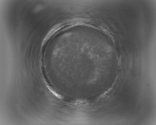 X0000078840101200612111606