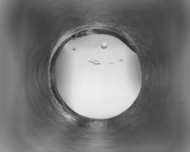 X0000078840102200612111606