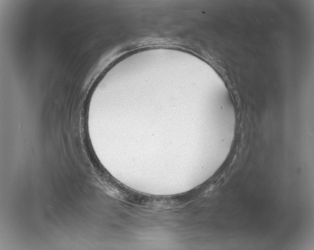 X0000078840103200612111606