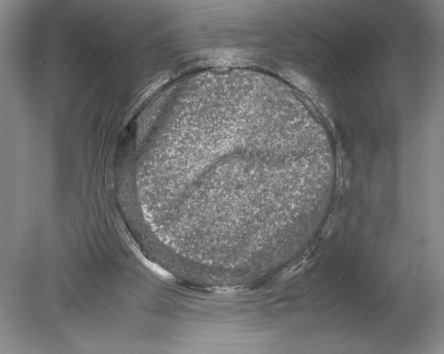 X0000078840105200612111606