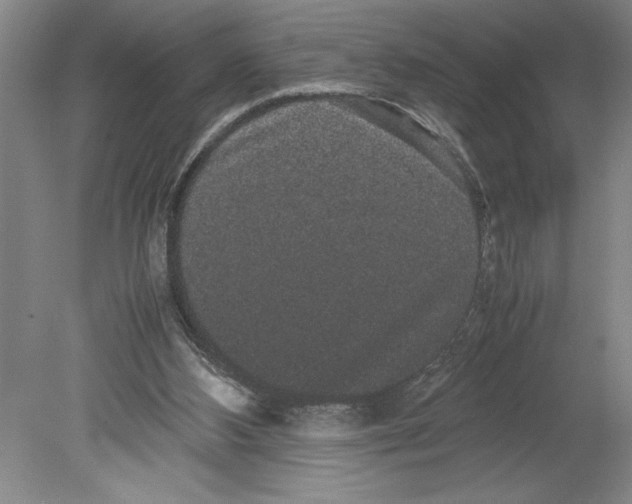 X0000078840108200612111606