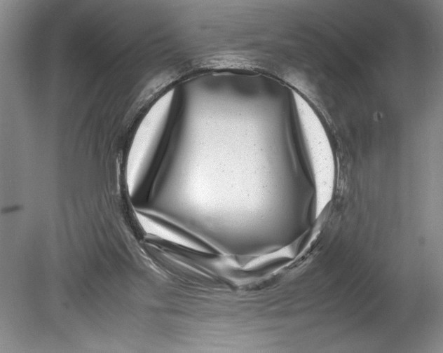 X0000078840109200612111606