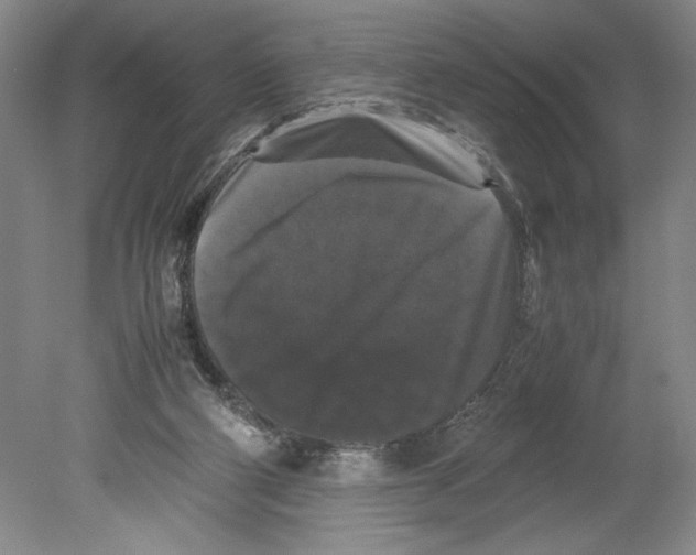 X0000078840114200612111605