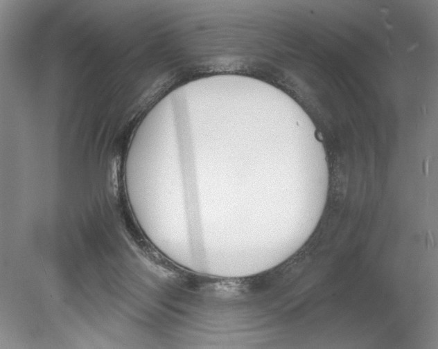 X0000078840118200612111605