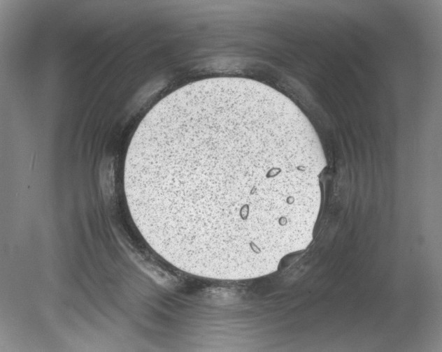 X0000078840120200612111605