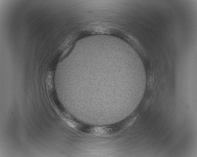 X0000078840121200612111605