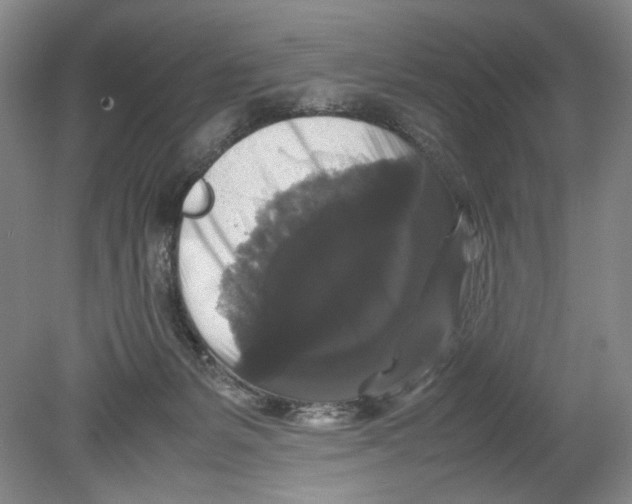 X0000078840127200612111605