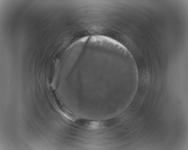 X0000078840130200612111605