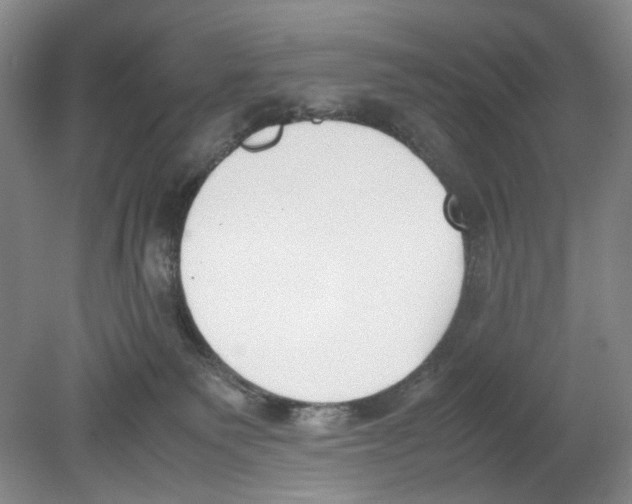 X0000078840135200612111605