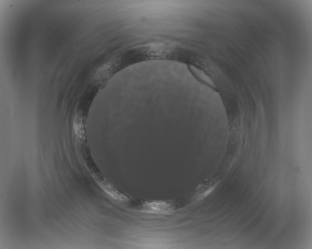 X0000078840137200612111605