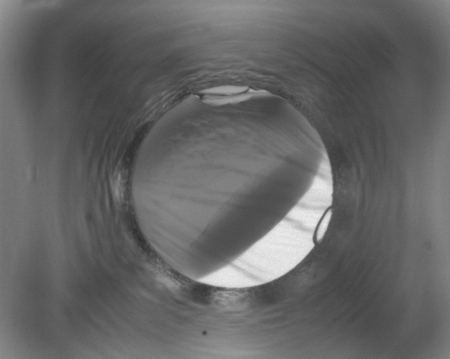 X0000078840139200612111605