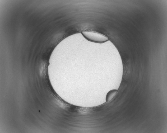 X0000078840142200612111605