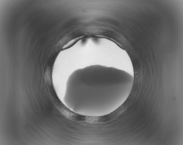 X0000078840143200612111605