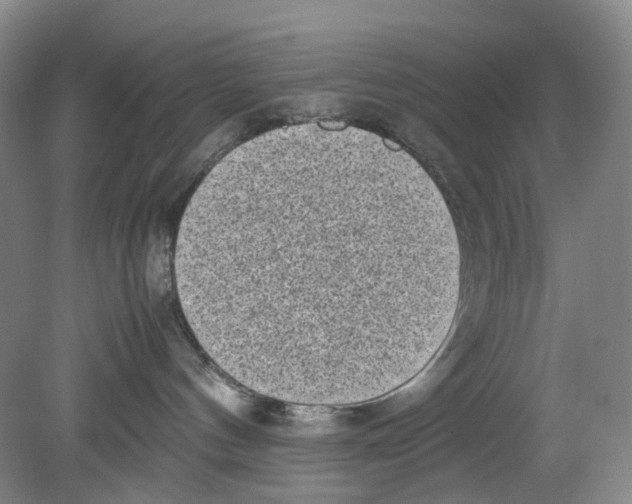 X0000078840144200612111605