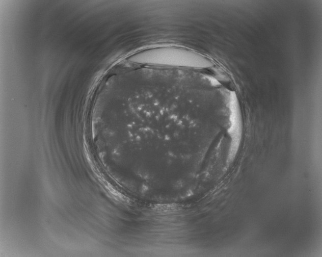 X0000078840145200612111604