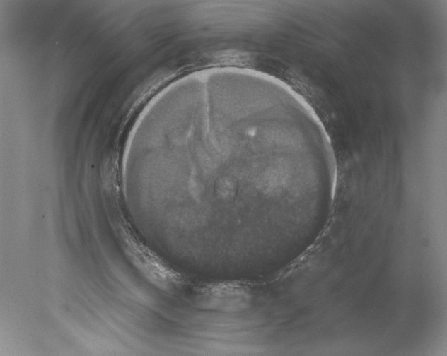 X0000078840146200612111604