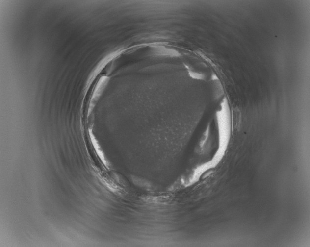 X0000078840147200612111604