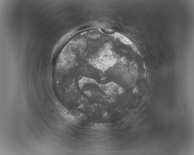 X0000078840149200612111604