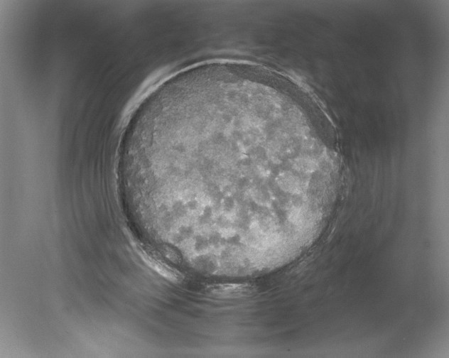 X0000078840151200612111604