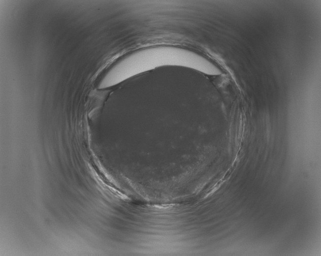 X0000078840154200612111604